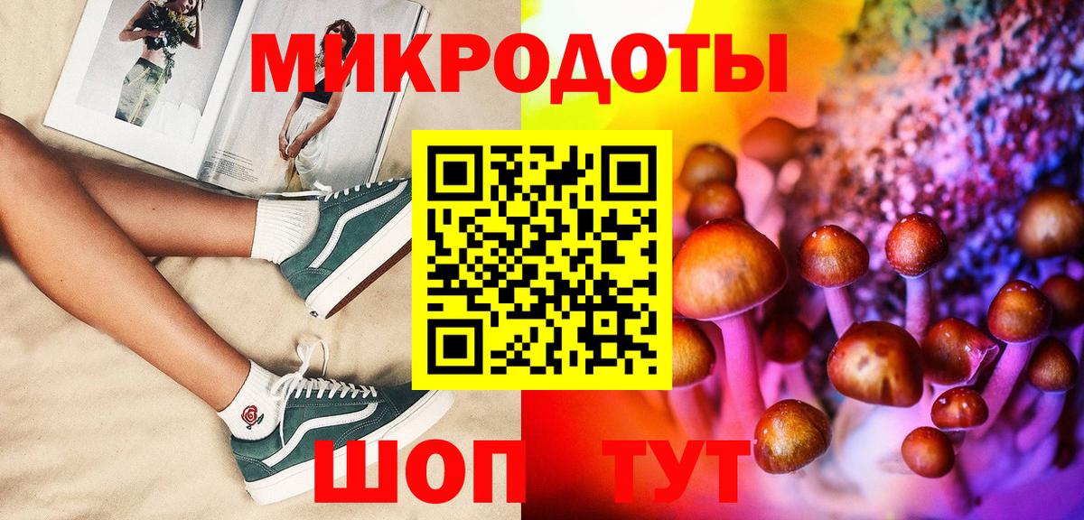 Галлюциногенные грибы Psilocybe  Псилоцибиновые грибы ЛСД  Вход с VPN  Назрань 