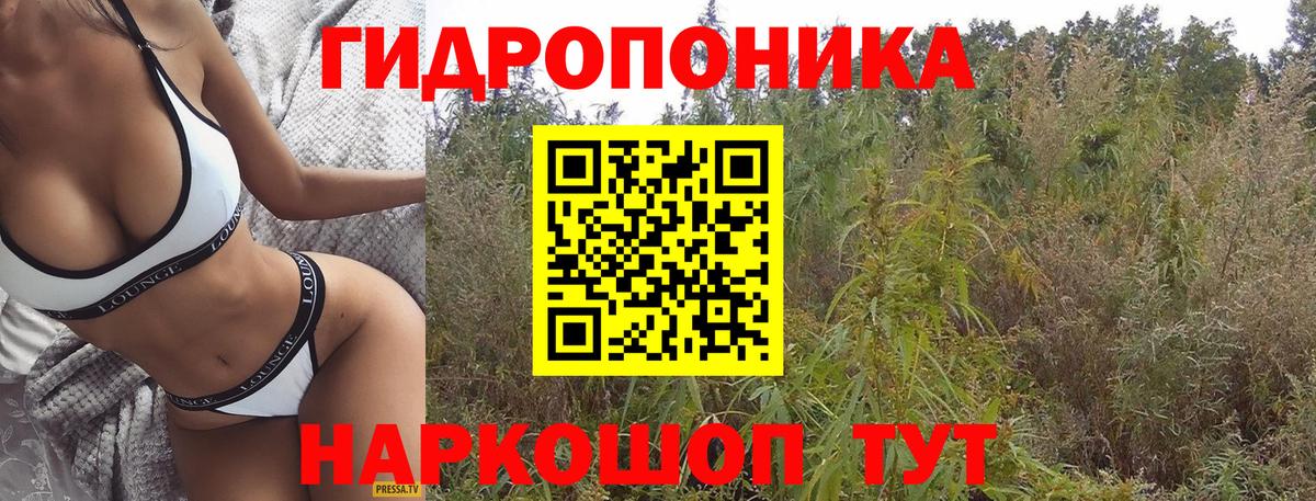 Конопля семена Назрань